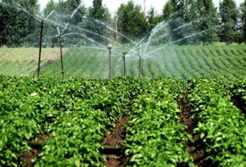 Hệ thống lọc nước cho nông trường, trang trại chăn nuôi